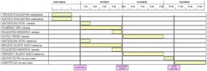 gantt diagramm